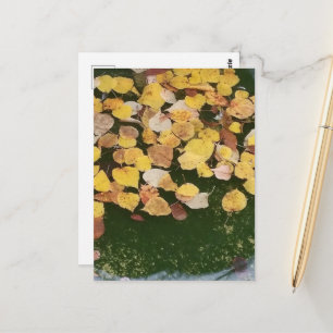 Herbstlaub in einem Pella Iowa Brunnen Postkarte