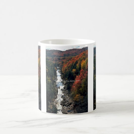 Herbstlaub in Queechee Schlucht, Queechee, Kaffeetasse (Mittel)