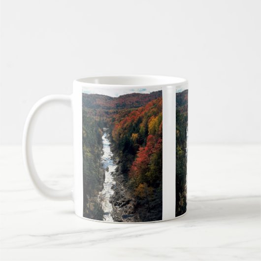 Herbstlaub in Queechee Schlucht, Queechee, Kaffeetasse (Links)