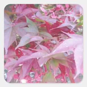 Herbstlaub in Rosa und Schwarz Quadratischer Aufkleber