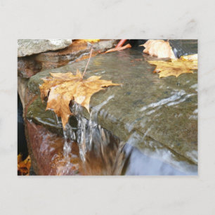 Herbstlaub in Wasserfall II Herbstfotografie Postkarte