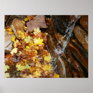Herbstlaub in Wasserfall III Herbst Natur Poster