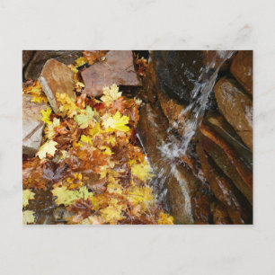Herbstlaub in Wasserfall III Herbst Natur Postkarte