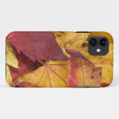 Herbstlaub iPhone5 Fall Case-Mate iPhone Hülle (Rückseite (Horizontal))