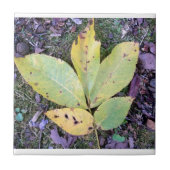Herbstlaub Keramik Tile Fliese (Vorderseite)
