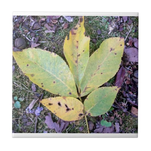 Herbstlaub Keramik Tile Fliese (Vorderseite)