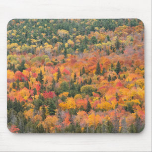 Herbstlaub Keweenaw-Halbinsel, Michigan Mousepad