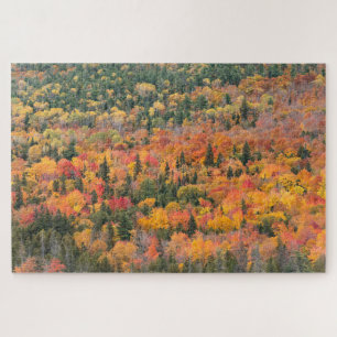 Herbstlaub   Keweenaw-Halbinsel, Michigan Puzzle