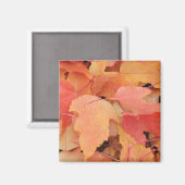 Herbstlaub Magnet (Vorderseite/Rückseite)