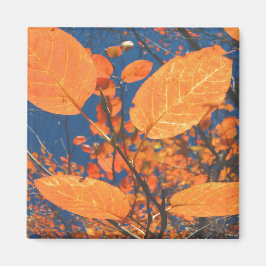 Herbstlaub Magnet