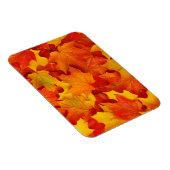 Herbstlaub Magnet (Rechte Seite)