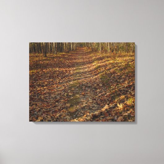 Herbstlaub Mauer Art Leinwanddruck (Vorderseite)