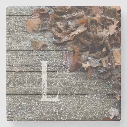 Herbstlaub mit Schnee iPhone / iPad Gehäuse Steinuntersetzer (Vorderseite)