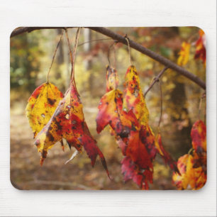 Herbstlaub Mousepad