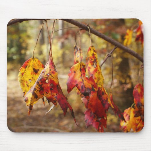 Herbstlaub Mousepad (Vorne)