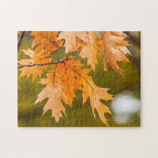 Herbstlaub nah-up-Foto-Puzzle Puzzle (Horizontal)
