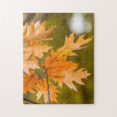 Herbstlaub nah-up-Foto-Puzzle Puzzle (Vertikal)