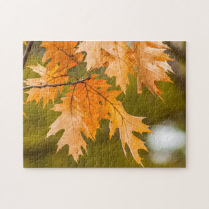 Herbstlaub nahes Foto-Puzzle Puzzle