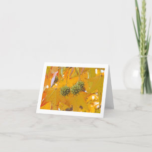 "HERBSTLAUB" NOTECARD (FOTOG) KARTE