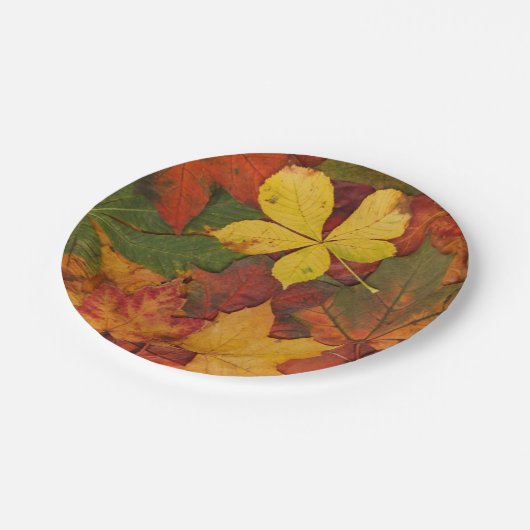 Herbstlaub Paper Teller (Schrägansicht)