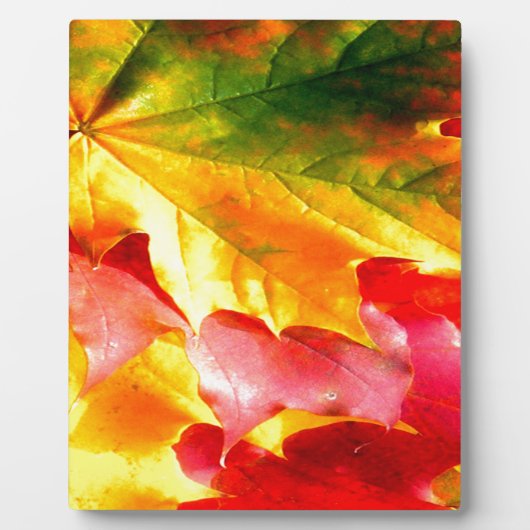 Herbstlaub Personalisieren sie gelb, rot, grün, Fotoplatte (Vorderseite)