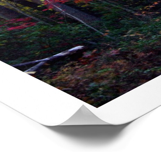 Herbstlaub Poster (Ecke)