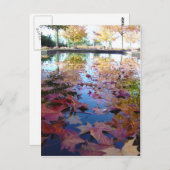 Herbstlaub Postkarte (Vorne/Hinten)