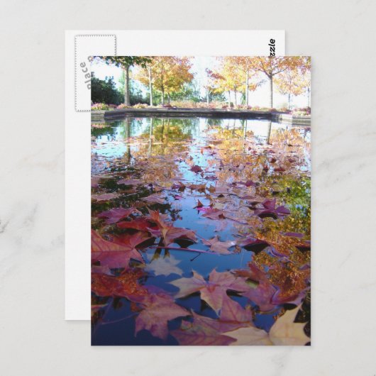 Herbstlaub Postkarte (Vorne/Hinten)