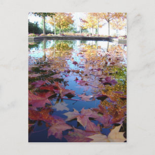 Herbstlaub Postkarte
