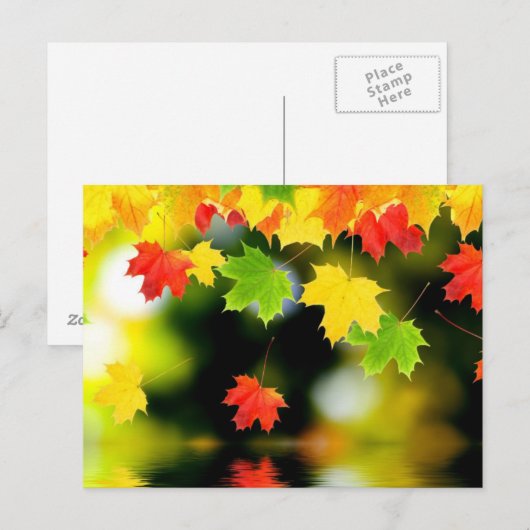 Herbstlaub Postkarte (Vorne/Hinten)
