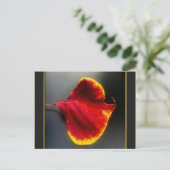 Herbstlaub Postkarte (Stehend Vorderseite)