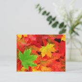 Herbstlaub Postkarte (Stehend Vorderseite)