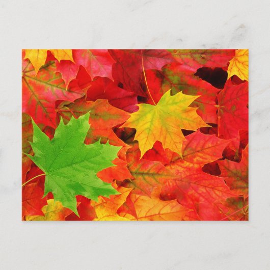 Herbstlaub Postkarte (Vorderseite)