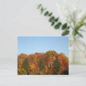 Herbstlaub Postkarte (Stehend Vorderseite)