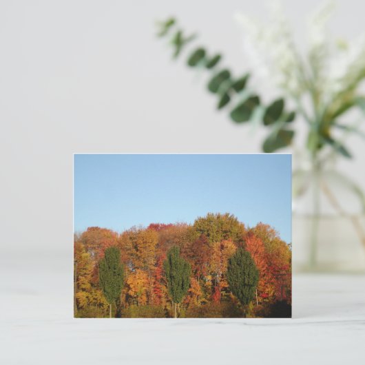 Herbstlaub Postkarte (Stehend Vorderseite)