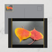 Herbstlaub Postkarte (Vorne/Hinten)