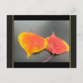 Herbstlaub Postkarte (Vorderseite)