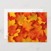Herbstlaub Postkarte (Vorne/Hinten)