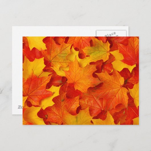Herbstlaub Postkarte (Vorne/Hinten)