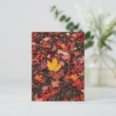 Herbstlaub  postkarte (Stehend Vorderseite)