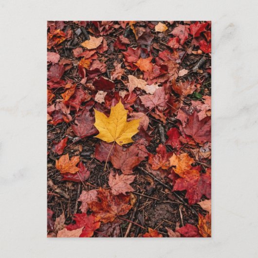 Herbstlaub  postkarte (Vorderseite)