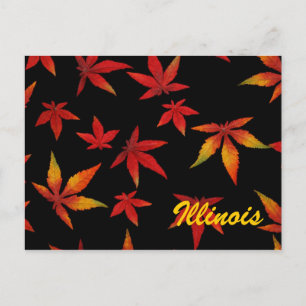 Herbstlaub-Postkarte aus Illinois Postkarte
