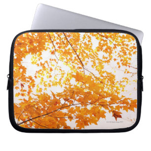 Herbstlaub-Reflexion Laptopschutzhülle