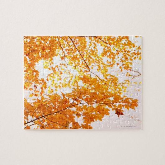 Herbstlaub-Reflexion Puzzle (Horizontal)