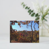 "Herbstlaub Scene" Postkarte (Stehend Vorderseite)