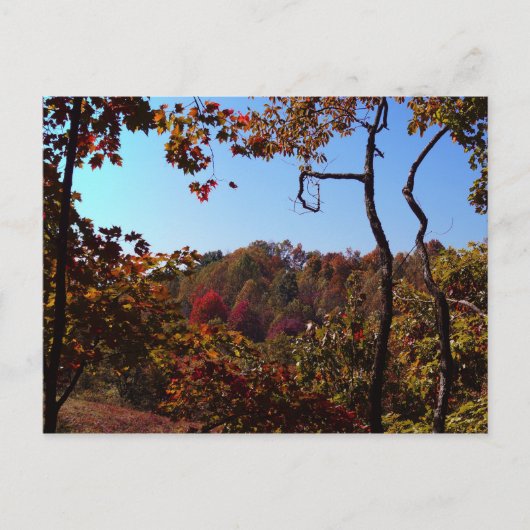 "Herbstlaub Scene" Postkarte (Vorderseite)