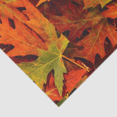 Herbstlaub Seidenpapier (Ausschnitt)