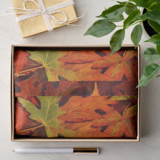 Herbstlaub Seidenpapier (Geschenk)