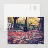 Herbstlaub Sidewalk View Postkarte (Vorne/Hinten)