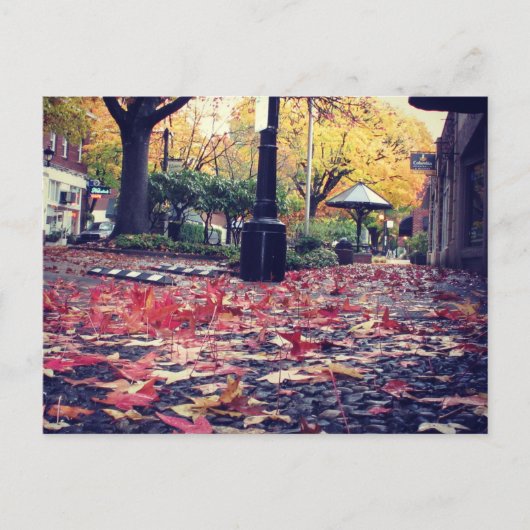 Herbstlaub Sidewalk View Postkarte (Vorderseite)